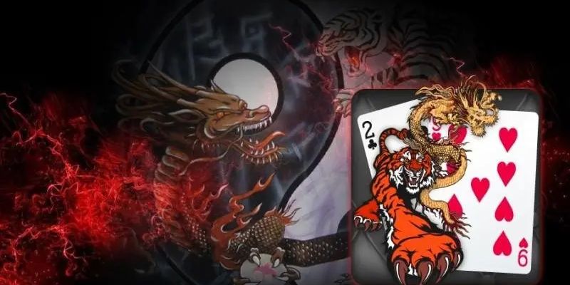 Lưu ý khi chơi Rồng Hổ 