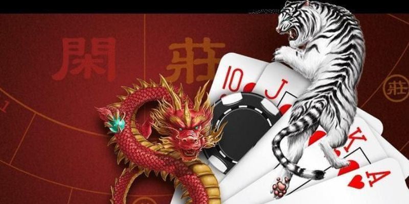 Mẹo đánh Rồng Hổ chắc thắng 