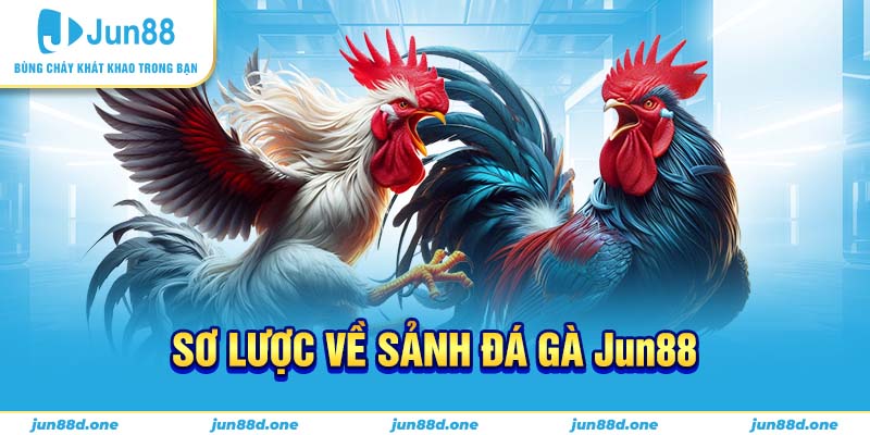Sơ lược về sảnh đá gà Jun88