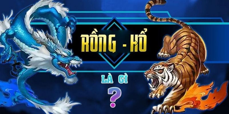 Thông tin cơ bản về game Rồng Hổ